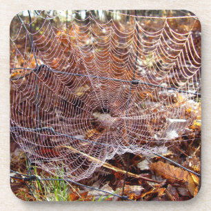 Porta-copo Web of European Garden Spider Duro Plastic Porta c