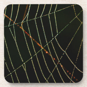 Porta-copo Web Spider