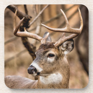 Porta-copo White Tail Deer Buck