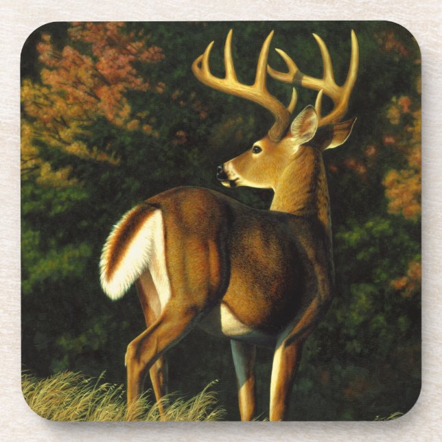 Porta-copo Whitetail Deer Trophy Buck Hunting (Frente)