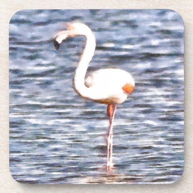 Porta-copo Wild Flamingo (Frente)