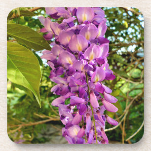 Porta-copo Wisteria Bloom