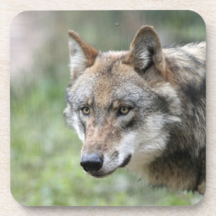 Porta-copo Wolf 001