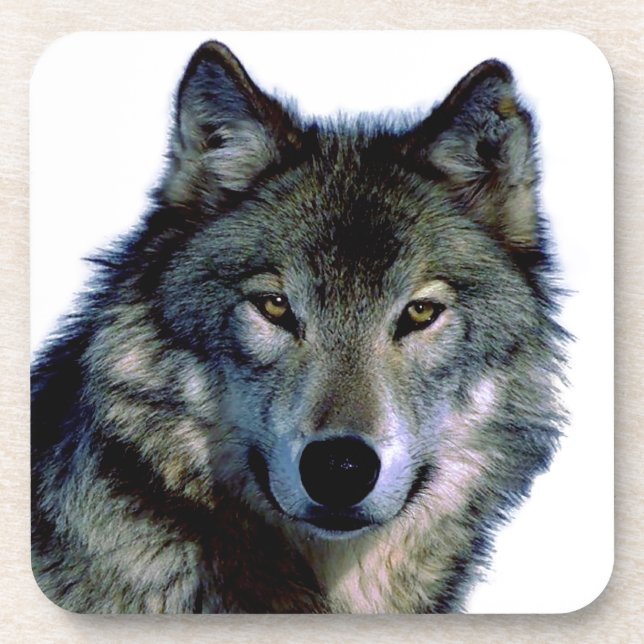 Porta-copo Wolf Portrait (Frente)