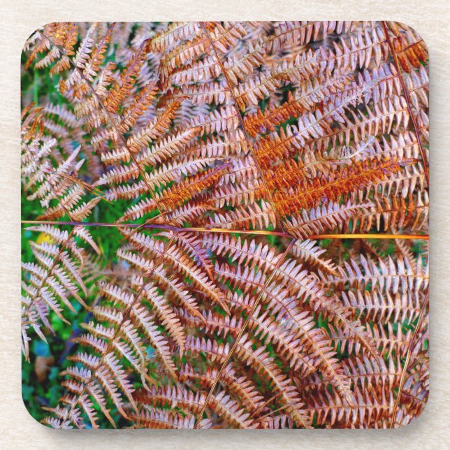 Porta-copo Woodland Ferns (Frente)