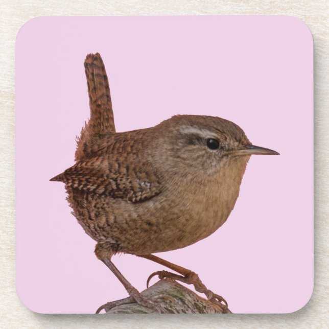 Porta-copo Wren (Frente)