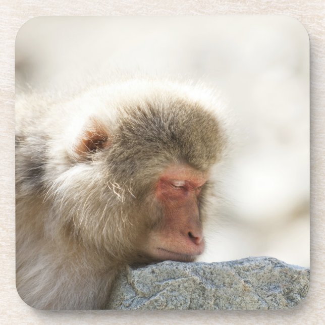 Porta-copo Yamanouchi, Chubu, Nagano, Japão (Frente)