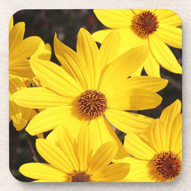 Porta-copo Yellow Flower (Frente)