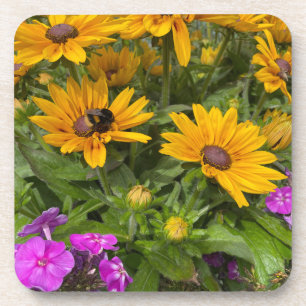 Porta-copo  Yellow Rudbeckia Flowers Pink Phlox and Bee