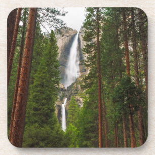 Porta-copo Yosemite Falls através da Floresta