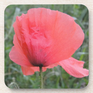 Porta-copo Zarte Escreveu Mohnblume
