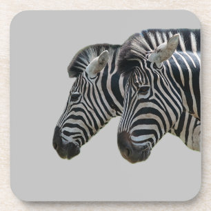 Porta-copo Zebra
