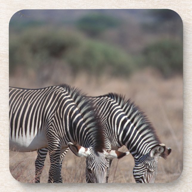 Porta-copo Zebra (Frente)