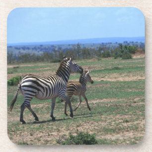 Porta-copo Zebra de Grant