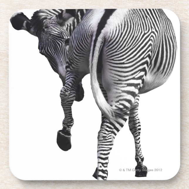 Porta-copo Zebra que gira ao redor (Frente)