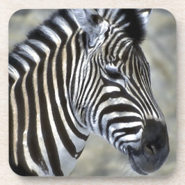 Porta-copo Zebras Lovers Art