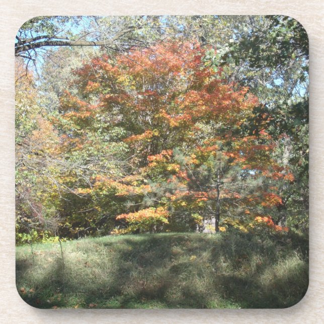 Porta copos (Frente)