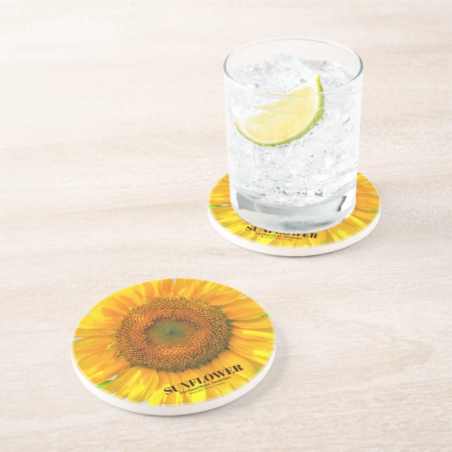 PORTA-COPOS ひ ま わ り (Lateral)