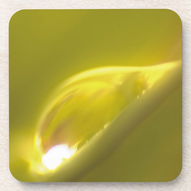 Porta copos 3 de Cortiça de Água (Frente)