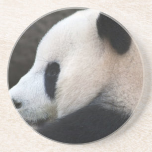 Porta-copos Abraços de urso da panda