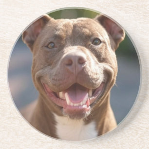 Porta-copos Adicionar Personalização de Foto Bull de Pit