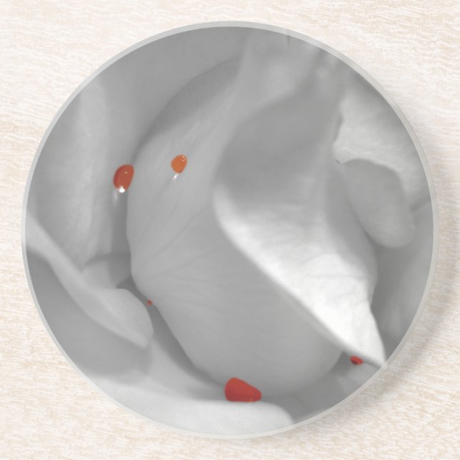 Porta copos Aeolian Watercolor (Frente)