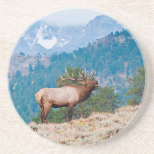 Porta-copos Alce (Cervus Elephus) Touro Bugling