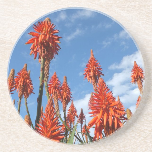 Porta copos Aloe Arborescens (Frente)