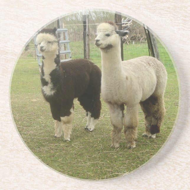 Porta-copos Alpaca Duo (Frente)