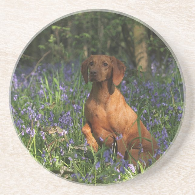 Porta-copos Ambarino (Frente)