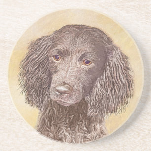 Porta-copos American Water Spaniel Painting - Arte Original de