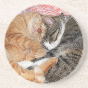 Porta-copos Amigos do Nap