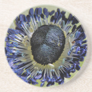 Porta-copos Anemone Mistral Panda
