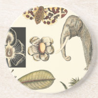 Animais Agrupados Pintados em Fundo de Nata