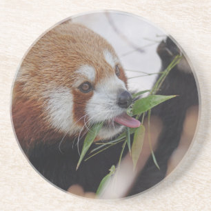 Porta-copos animal impresso panda vermelho fofo