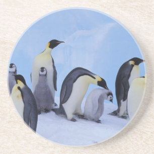 Porta-copos Antártida, Pinguins Imperadores