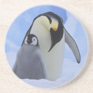 Porta-copos Antártida. Pinguins-imperadores e filhote