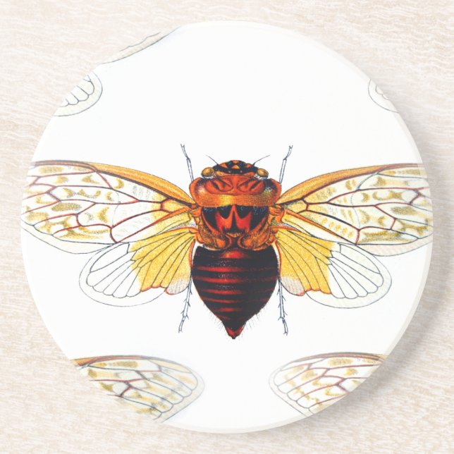 Porta-copos art bee hibiscusgarde (Frente)