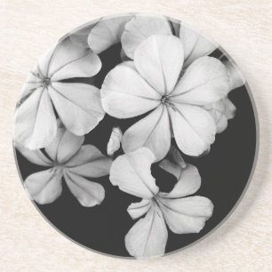 Porta-copos Arte Monocromático Vintage de Plumbago