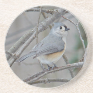 Porta-copos Artigos com Titmouse tufado (Baeolophus bicolor)