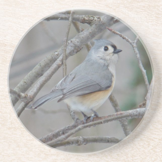 Porta-copos Artigos com Titmouse tufado (Baeolophus bicolor) (Frente)