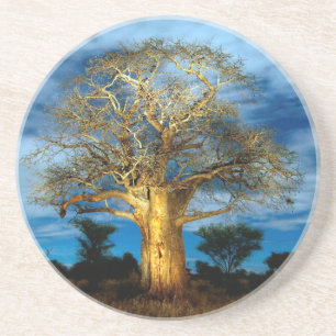 Porta-copos Árvore Baobá (Adansonia) Iluminada pela Lua