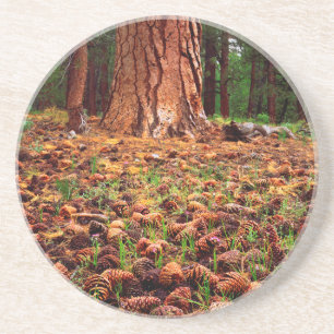 Porta-copos Árvore Ponderosa de crescimento antigo com cones 