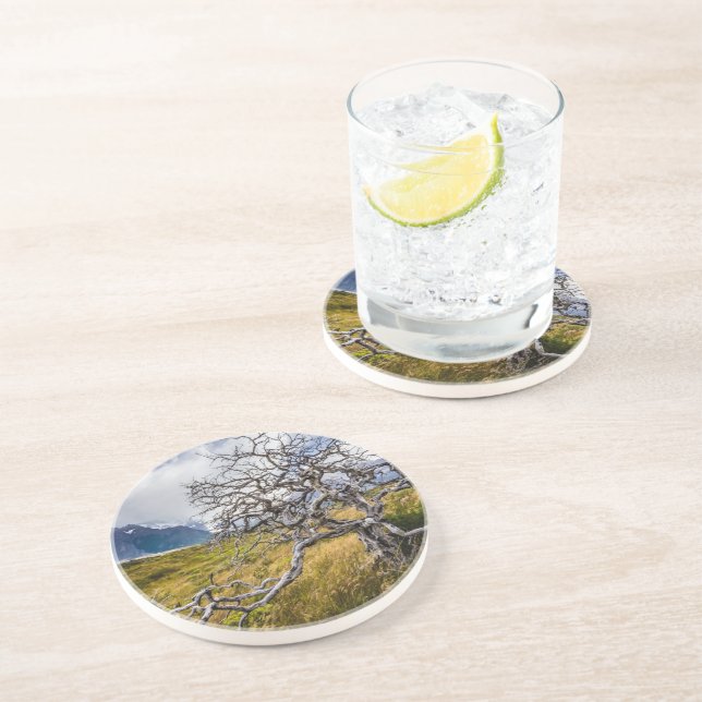 Porta-copos Árvore queimada, Torres del Paine, Chile (Lateral)