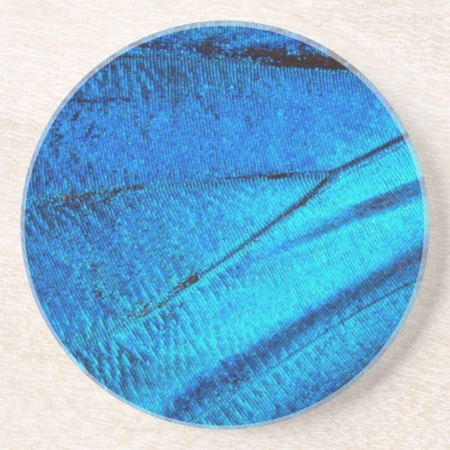 Porta-copos Asa Azul Iridescente da Borboleta (Frente)