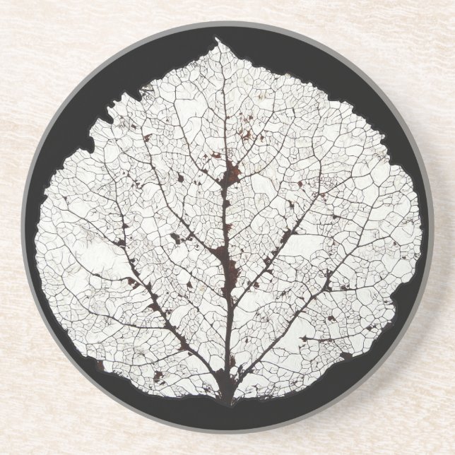 Porta-copos Aspen Esqueleto 1 (Frente)