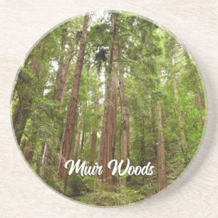 Porta-copos Até Redwoods I em Muir Woods National Monument
