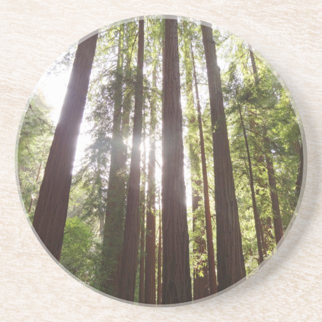 Porta-copos Até Sequoias de Manhã (Frente)