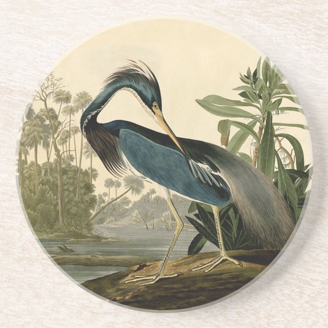 Porta-copos Audubon Louisiana Heron Birds America Art (Frente)