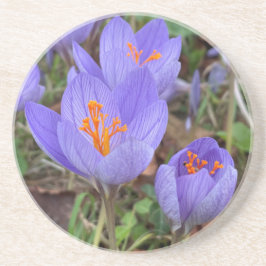 Porta-copos Autumn Crocus